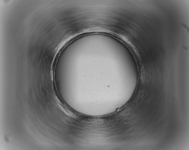 X0000101121372200806261035