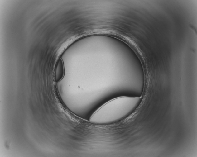 X0000101121373200806261035