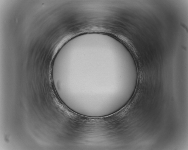 X0000101121374200806261035