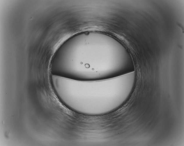 X0000101121375200806261035
