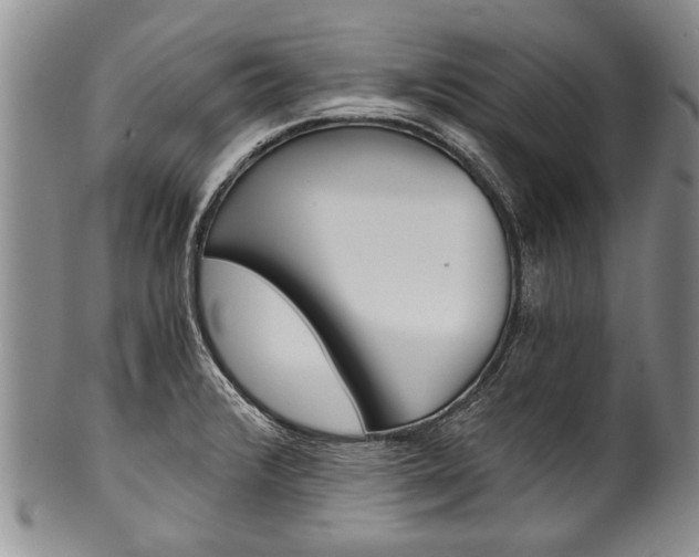 X0000101121376200806261035