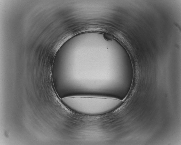 X0000101121377200806261035