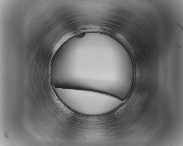 X0000101121378200806261035