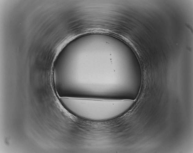 X0000101121379200806261035