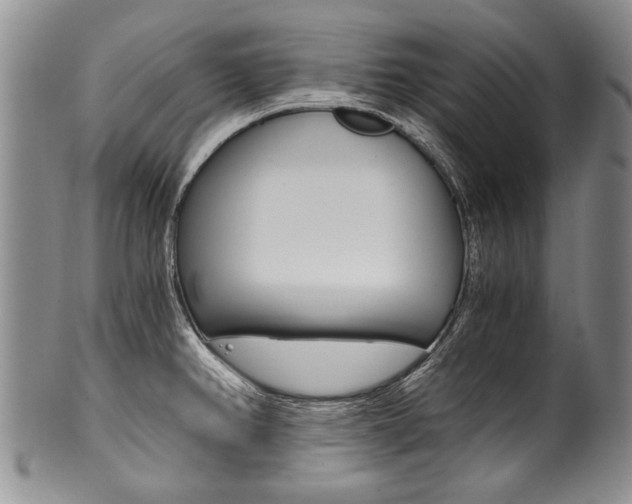 X0000101121382200806261035