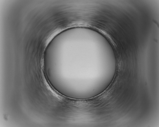 X0000101121383200806261035