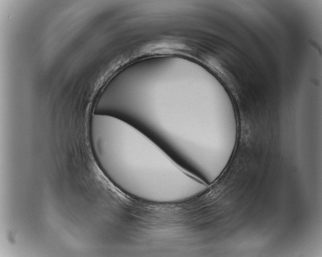 X0000101121384200806261035