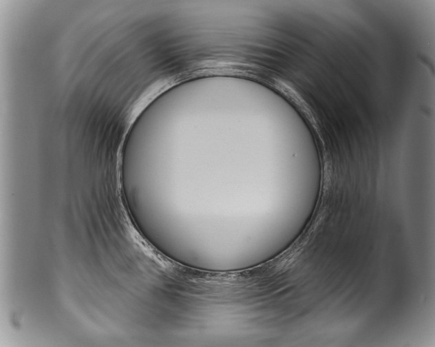 X0000101121386200806261035