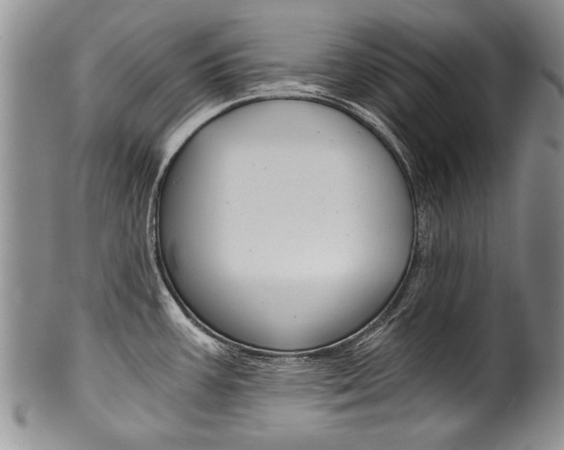 X0000101121387200806261035