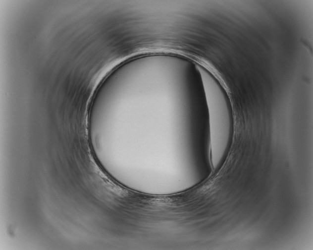 X0000101121388200806261035