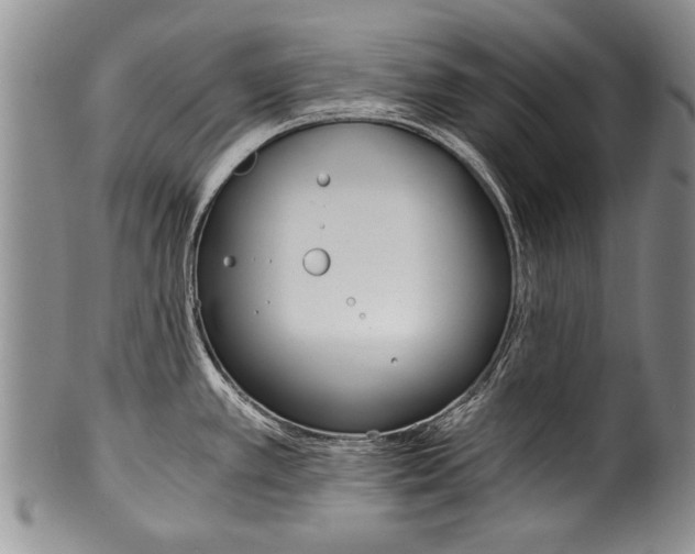X0000101121389200806261035