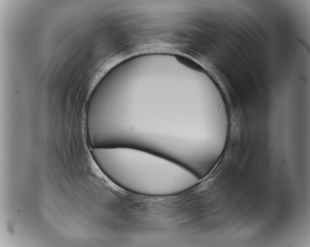 X0000101121390200806261035
