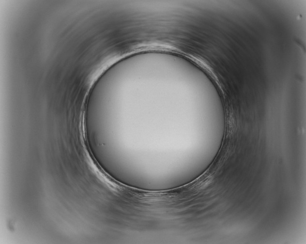 X0000101121391200806261035