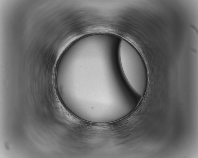 X0000101121392200806261035