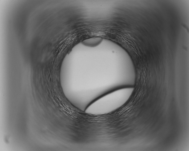 X0000101121393200806261034