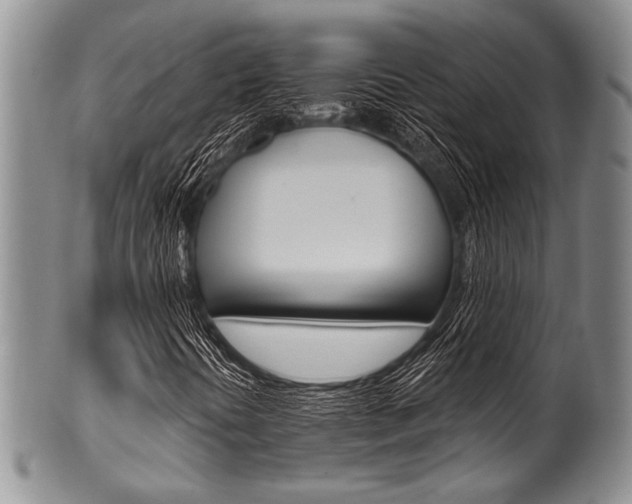 X0000101121394200806261034
