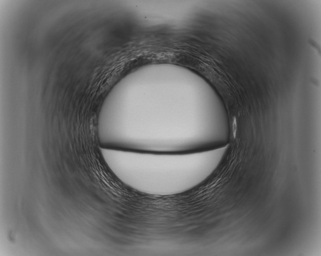 X0000101121395200806261034