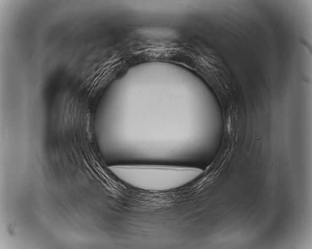 X0000101121396200806261034