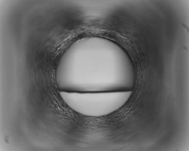 X0000101121397200806261034
