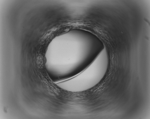 X0000101121398200806261034