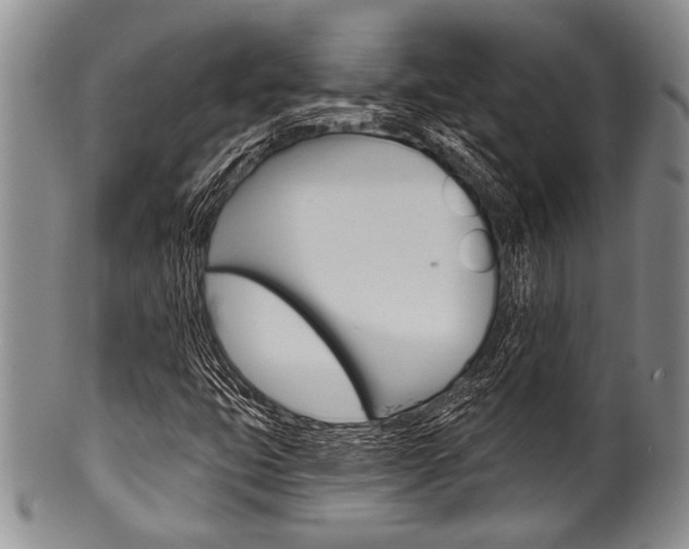 X0000101121399200806261034