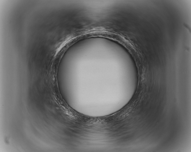 X0000101121400200806261034
