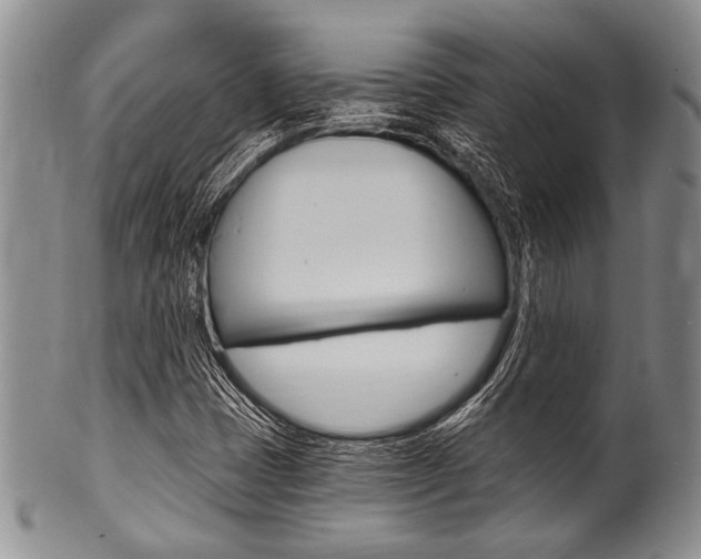 X0000101121401200806261034