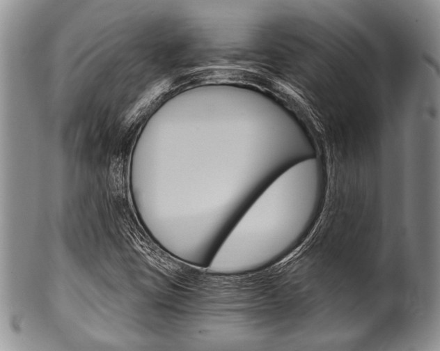X0000101121403200806261034