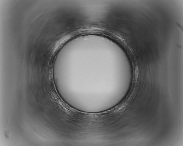 X0000101121405200806261034