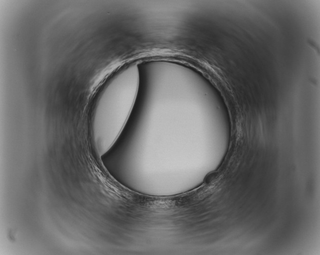 X0000101121406200806261034