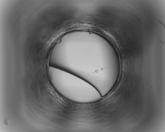 X0000101121407200806261034