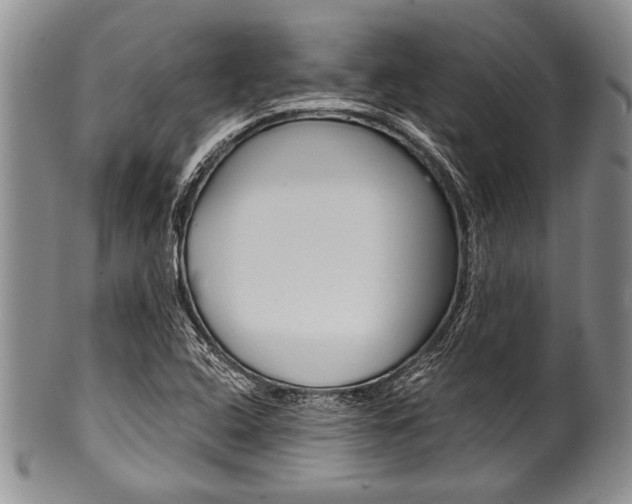 X0000101121408200806261034