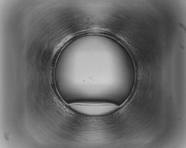 X0000101121410200806261034