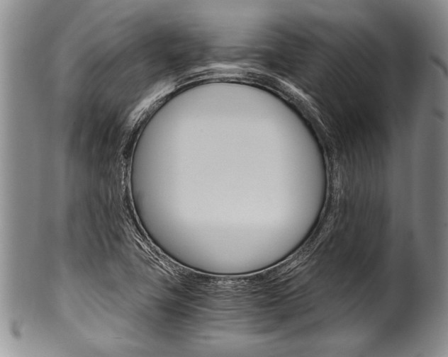 X0000101121411200806261034
