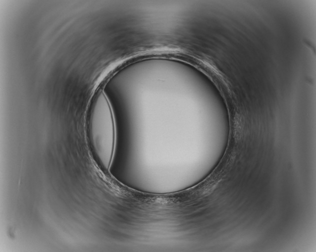 X0000101121412200806261034