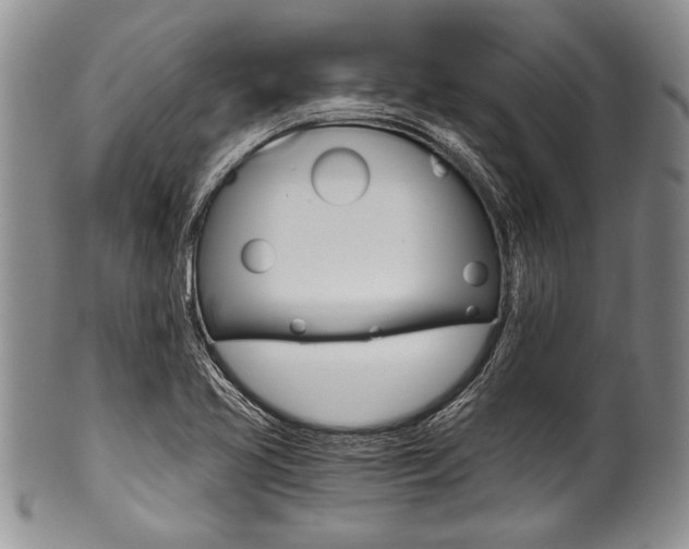 X0000101121413200806261034