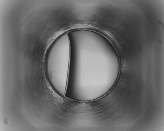 X0000101121414200806261034