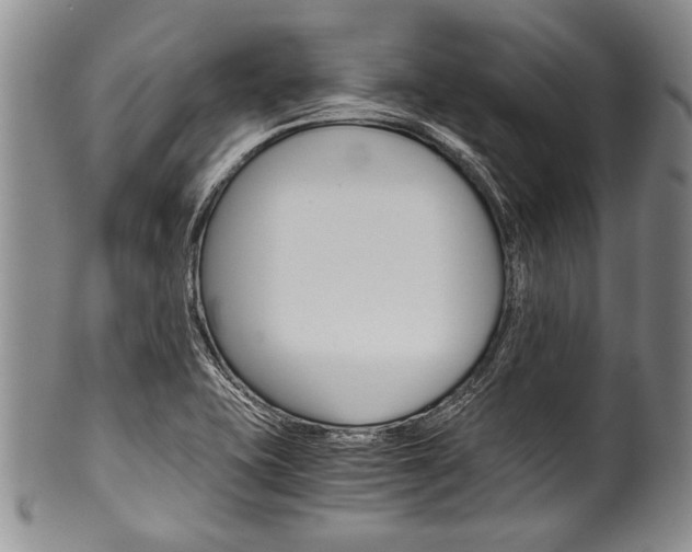 X0000101121415200806261035