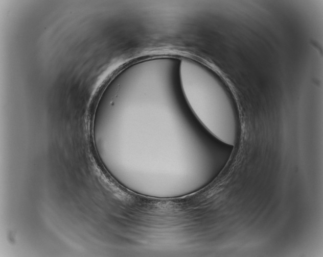 X0000101121416200806261035