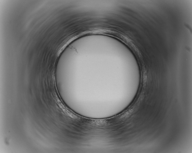 X0000101121417200806261035