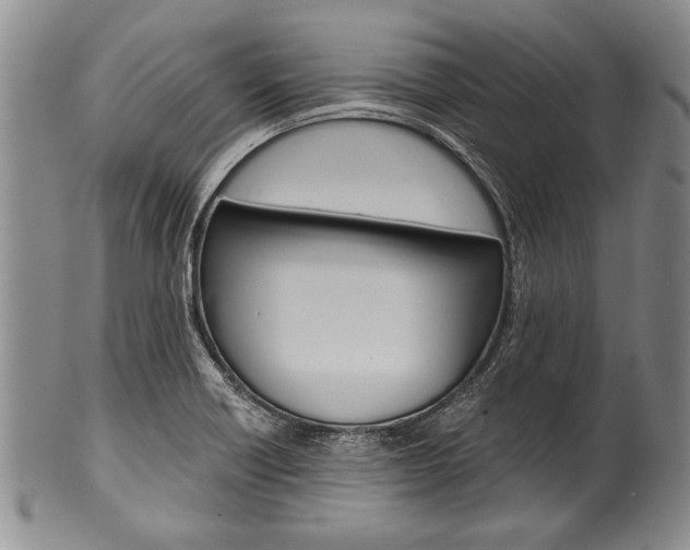 X0000101121418200806261035