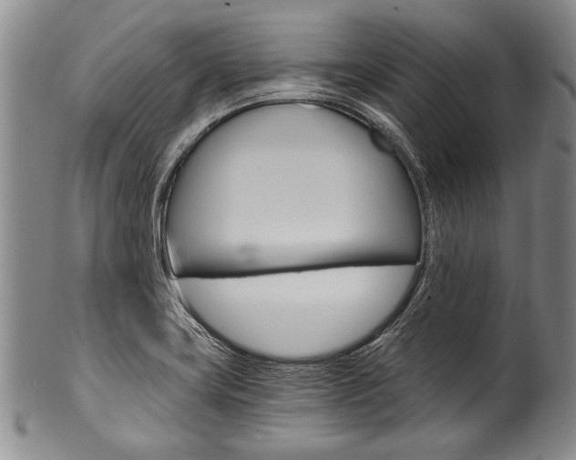 X0000101121419200806261035