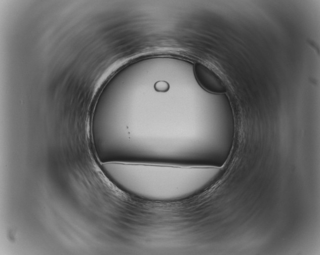 X0000101121420200806261035