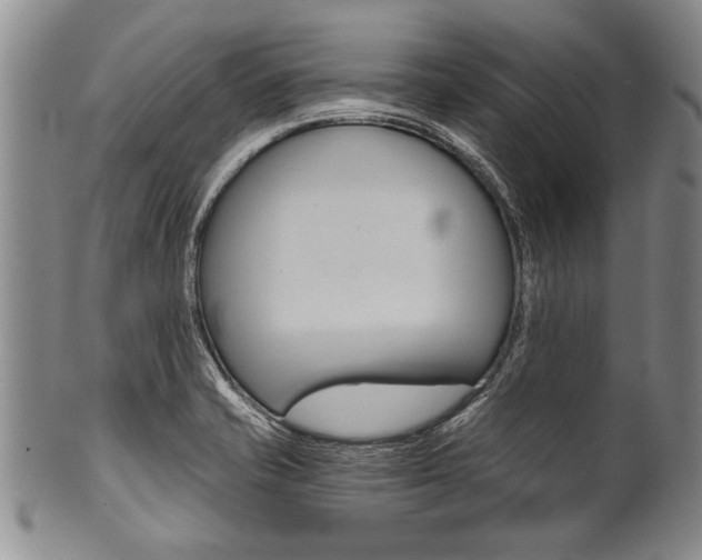 X0000101121421200806261035