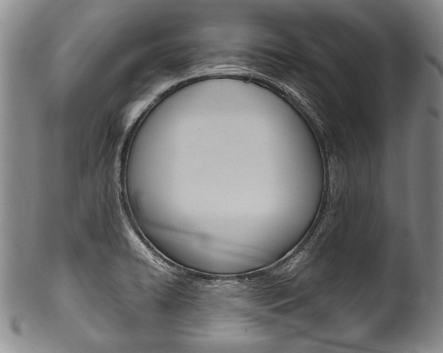 X0000101121422200806261035