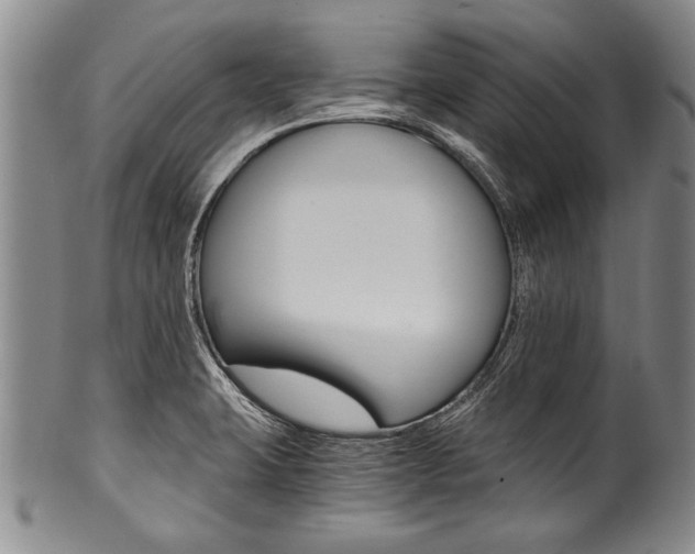 X0000101121423200806261035