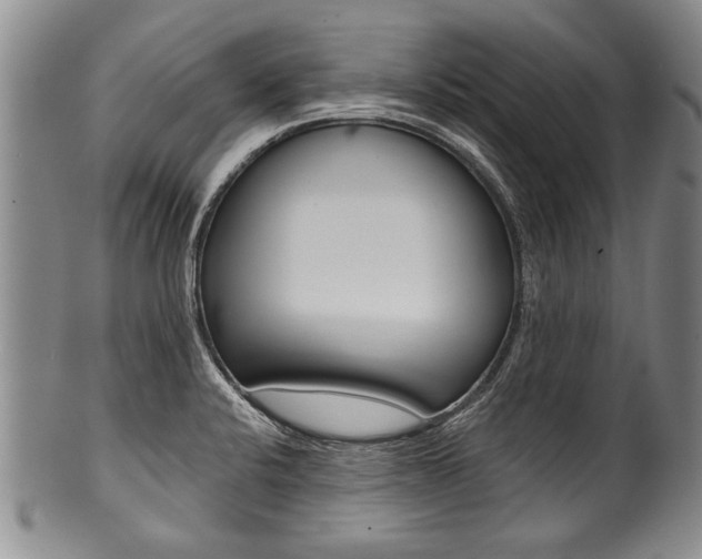 X0000101121424200806261035