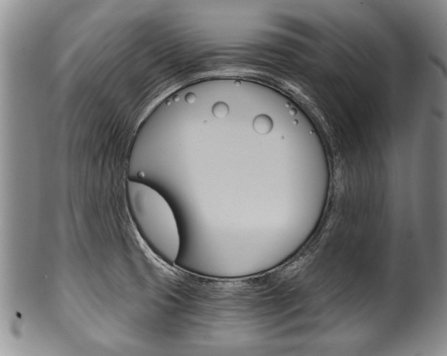 X0000101121425200806261035
