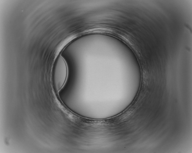 X0000101121426200806261035