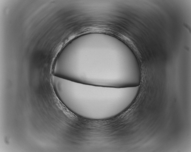 X0000101121427200806261035